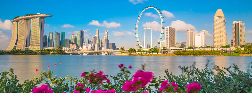 Cheap Flights & Airline Tickets Prices, Hotel Booking | Findmyfare